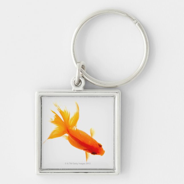 Goldfish, overhead view key ring (Front)
