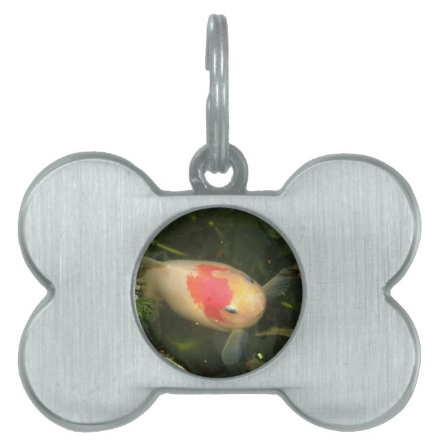 Goldfish Pet Tag (Front)