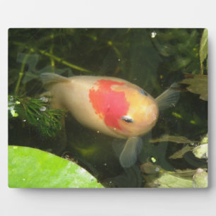 Goldfish Plaque