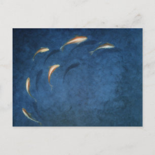 Goldfish Pool Postcard