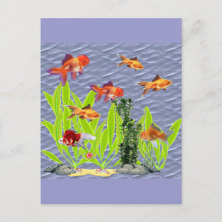 Goldfish Postcard