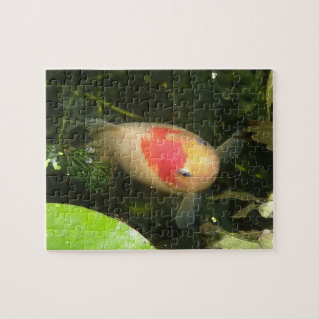 Goldfish Puzzle (Horizontal)