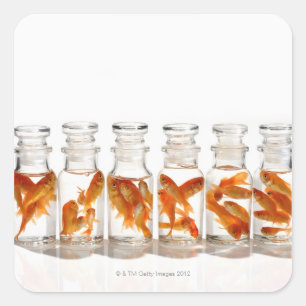 Goldfish Square Sticker