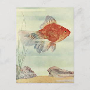 Goldfish T-Shirts, Cards & Gifts!