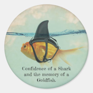 Goldfish with a Shark Fin Confetti Classic Round Sticker
