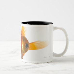Goldfish with Big eyes 2 Two-Tone Coffee Mug