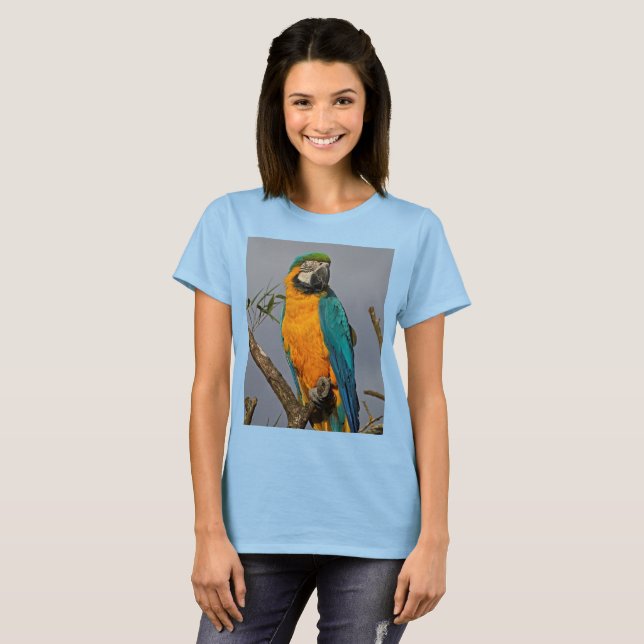 Goldie Blue Tee (Front Full)