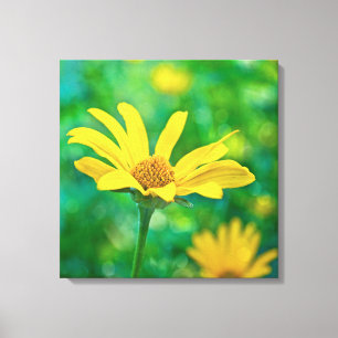 Goldie Canvas Print