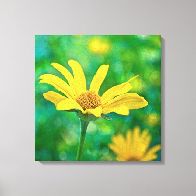 Goldie Canvas Print (Front)
