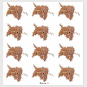 Goldie Doodle Custom-Cut Stickers