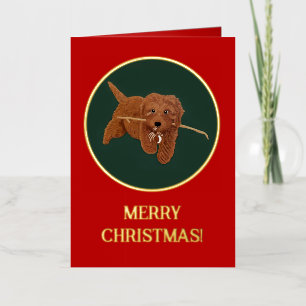 Goldie Doodle Red Foil Greeting Card