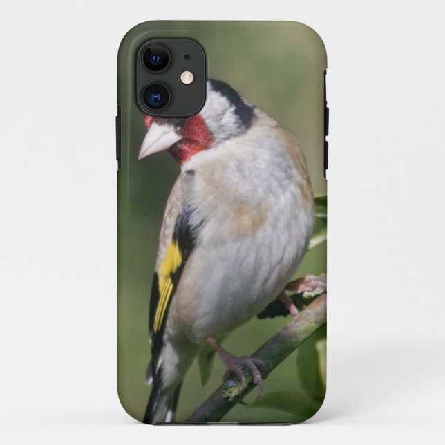 Goldie iPhone 5 Case-Mate Case (Back)
