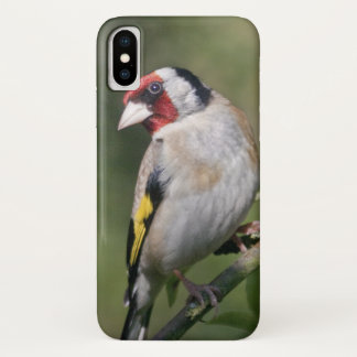 Goldie iPhone X Case