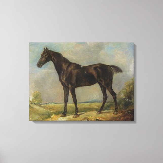 Golding Constable's Black Riding-Horse, c.1805-10 Canvas Print (Front)