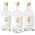 Goldtone Palm Tree Coquito Sticker