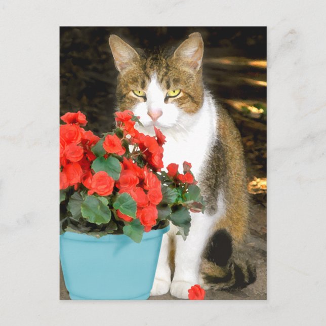 "Goldy & Red Flowers" Postcard (Front)