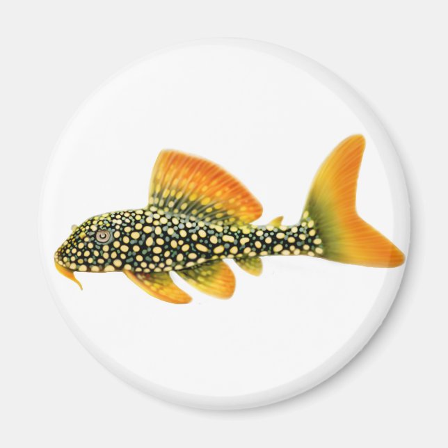 Goldy Sunshine Pleco Magnet (Front)