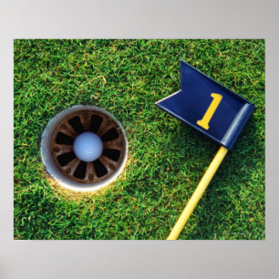 golf ball in hole poster