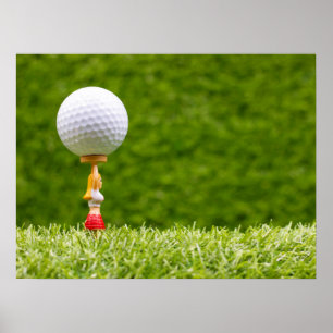 Golf ball is on tee on green grass background poster