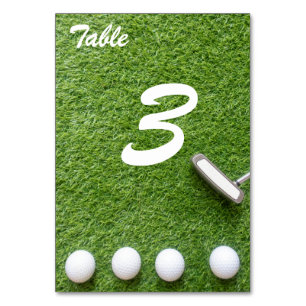 Golf balls and putter are on green grass table number