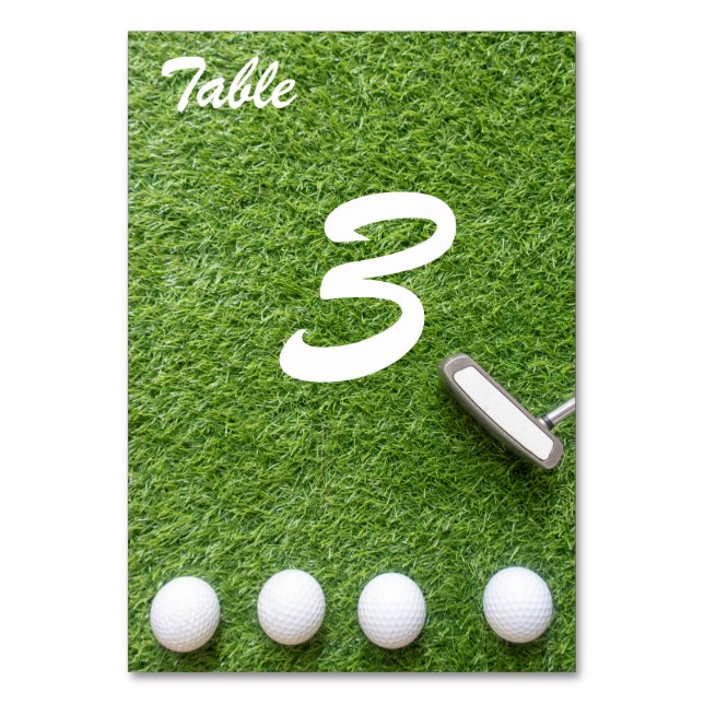 Golf balls and putter are on green grass table number (Front)