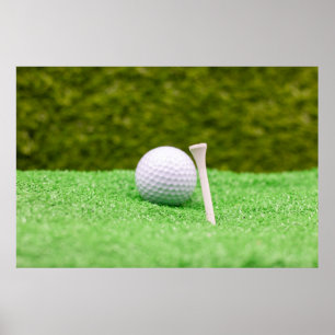 Golf Balls are on green grass Poster