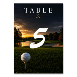 Golf balls on tee on green grass table number