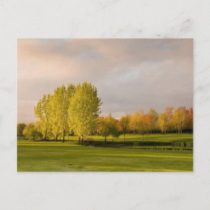Golf Course in Autumn Postcard