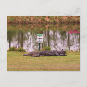 Golf hazard postcard