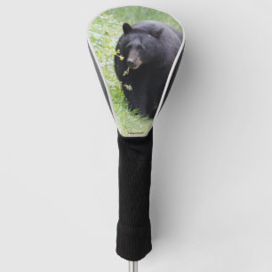 Golf head cover featuring Black bear
