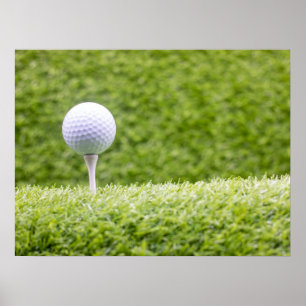 Golf is on green grass background  poster