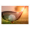 Golf Putter Poster Print
