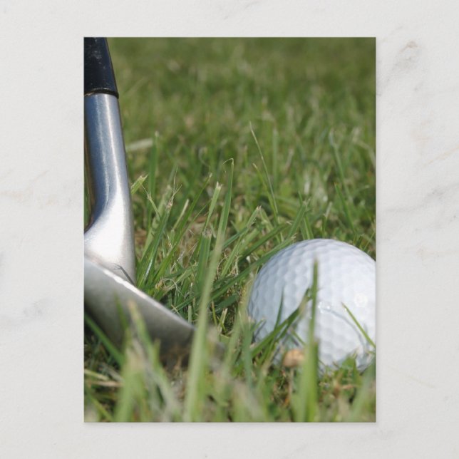 Golfing Photo Postcard (Front)