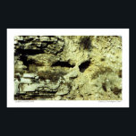 Golgotha poster<br><div class="desc">After 2000 years,  a skull can still be seen clearly in the limestone cliff adjacent the Garden Tomb.  In the centre of the picture,  you will see the eye sockets,  nose cavity,  chin and mouth of the skull.</div>