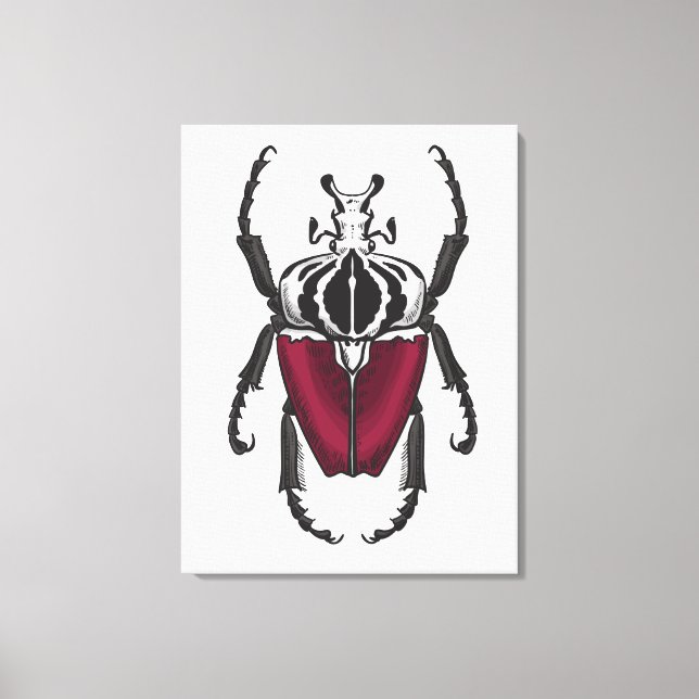 Goliath beetle canvas print (Front)