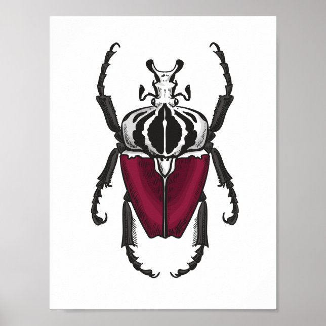 Goliath beetle poster (Front)