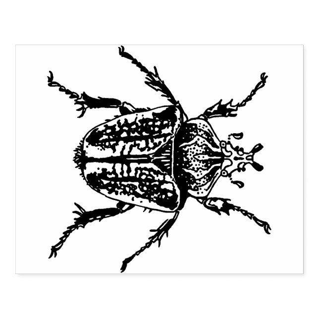 Goliath Beetle Rubber Stamp (Imprint)