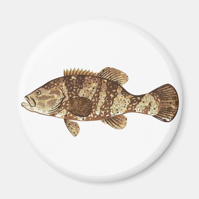 Goliath Grouper Gamefish ocean vector illustration Magnet (Front)