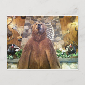 Goliath Space Farms Zoo World's Largest Bear Postcard