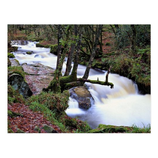 Golitha Falls, Cornwall, England at the Cornish Ri Postcard