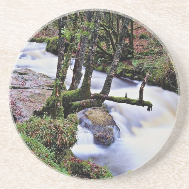 Golitha Falls, Cornwall, England  flowers Coaster (Front)