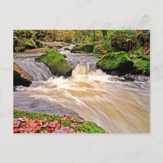 GOLITHA FALLS POSTCARD