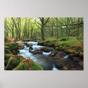 Golitha Falls Poster