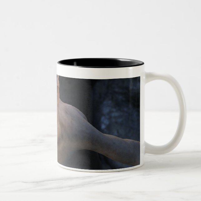 GOLLUM™ Close Up Two-Tone Coffee Mug (Right)