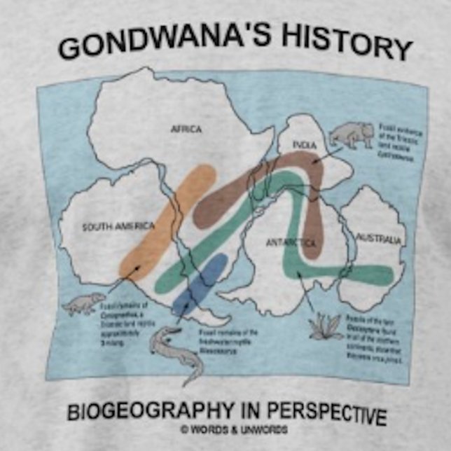 Gondwana's History Biogeography In Perspective T-Shirt (Biogeographers and historians will enjoy this "Gondwana's History Biogeography In Perspective" tee)