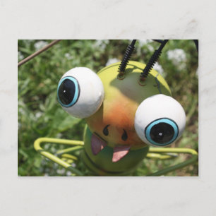 Gone Buggy Postcard