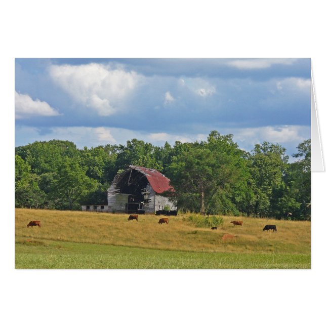 Gone but not Forgotten (Front Horizontal)