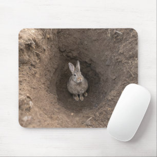Gone Down the Rabbit Hole Mouse Mat