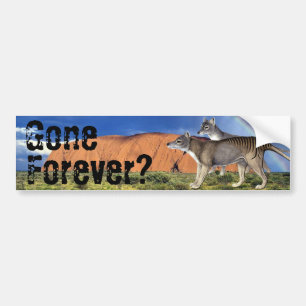 Gone Forever? Tasmanian Tiger Bumper Sticker