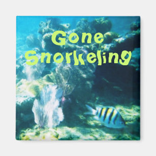 Gone Snorkelling Magnet